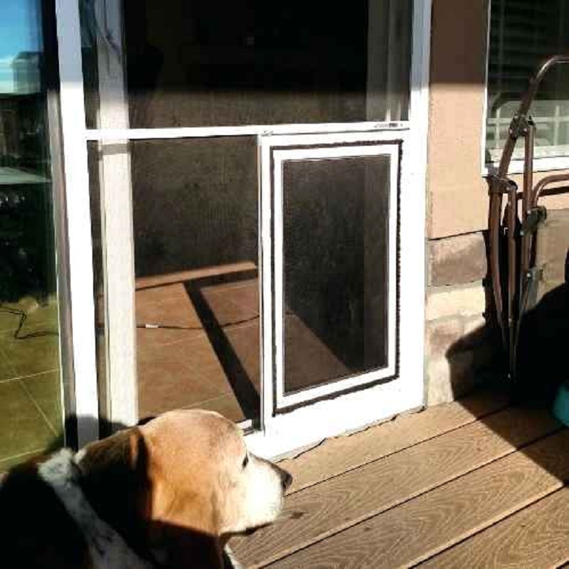 The Benefits of a Doggy Door for Glass Door