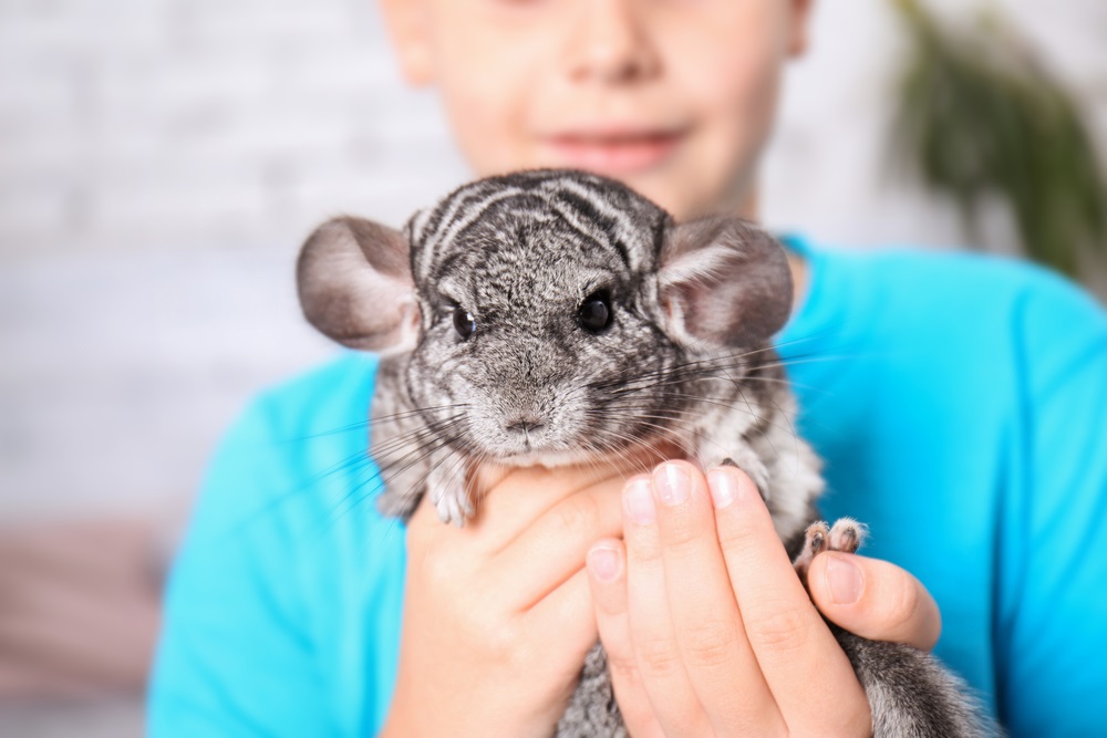 Learn about exotic pets and give good care to them