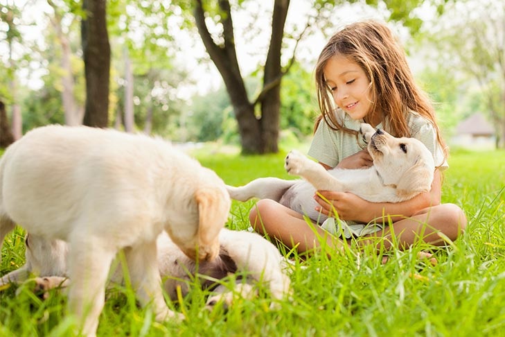 Click To Know The Benefits Of Puppy Socialisation