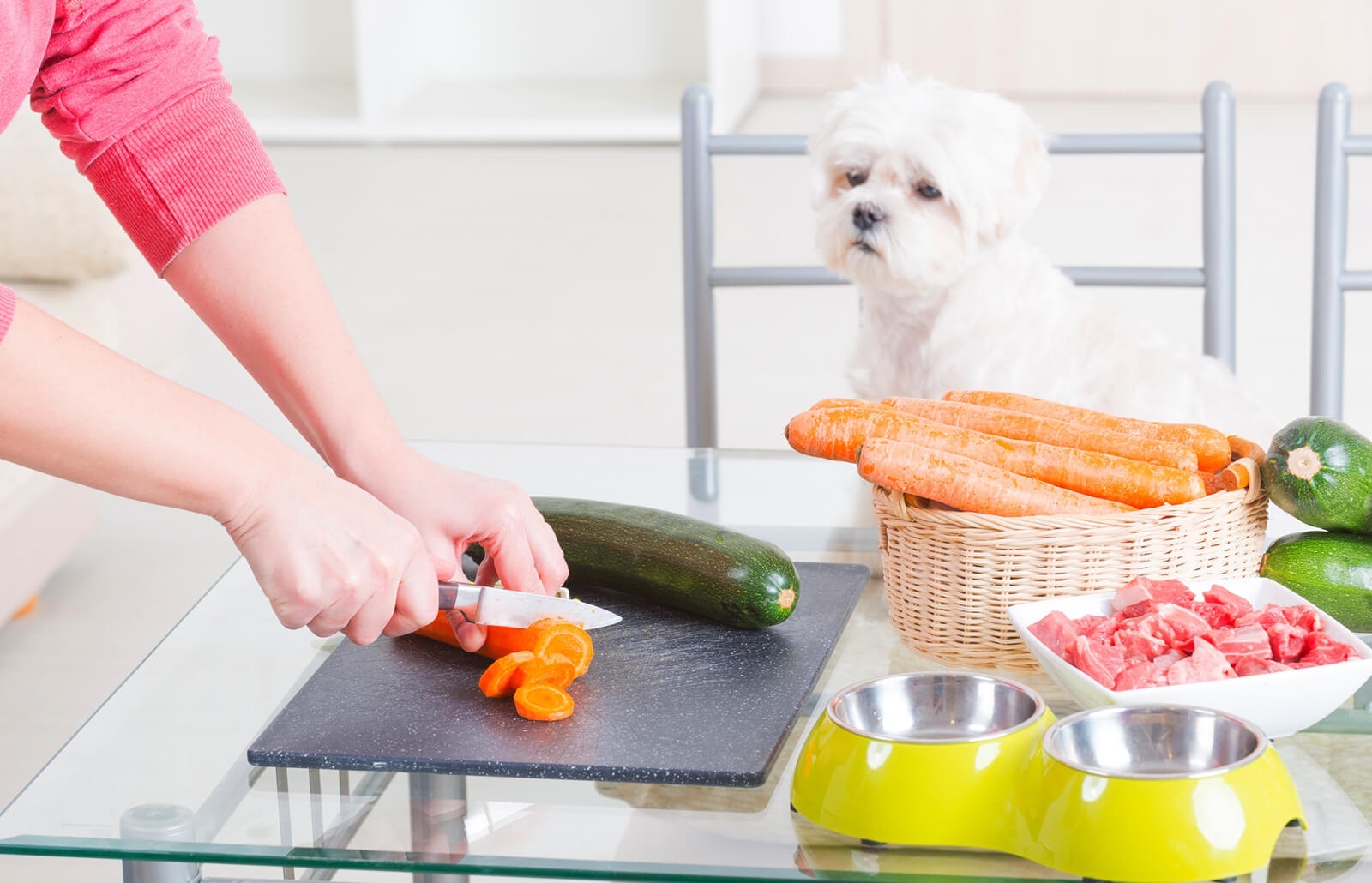 7 Recipes to Help You Create Your Own Dog Food at Home