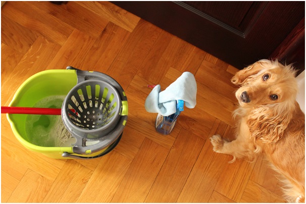 Select from the list of Best Pet Cleaning Products