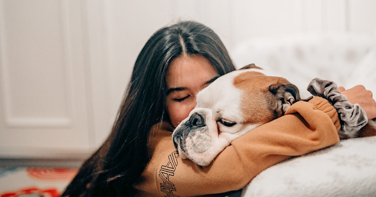 Using A Doggy Hotel To Look After Your Pet When You’re Away