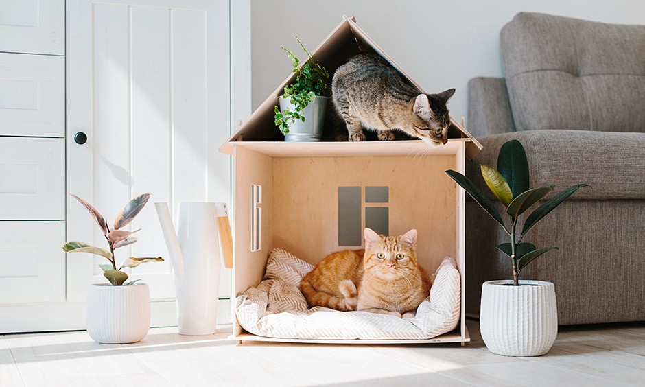 The Complete Guide to Modern Pet Furniture and How It’s Redefining the Way People Think About Their Animals’ Needs