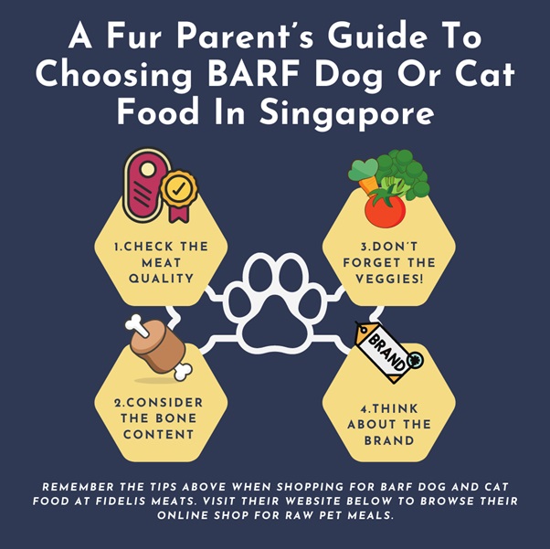 A Fur Parent’s Guide To Choosing BARF Dog Or Cat Food In Singapore