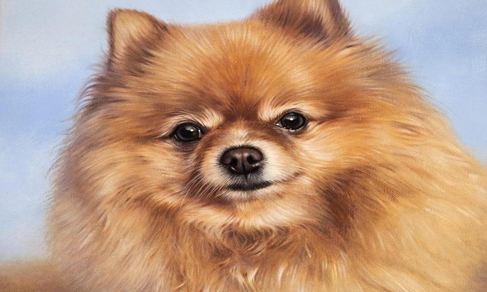 Unveiling the Best Pet Portrait Artists